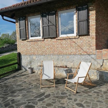 Apartman Gradac Deguric Valjevo Cameră foto